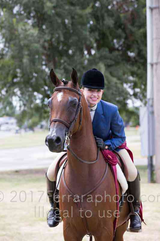 Proof Number 17YN_3365