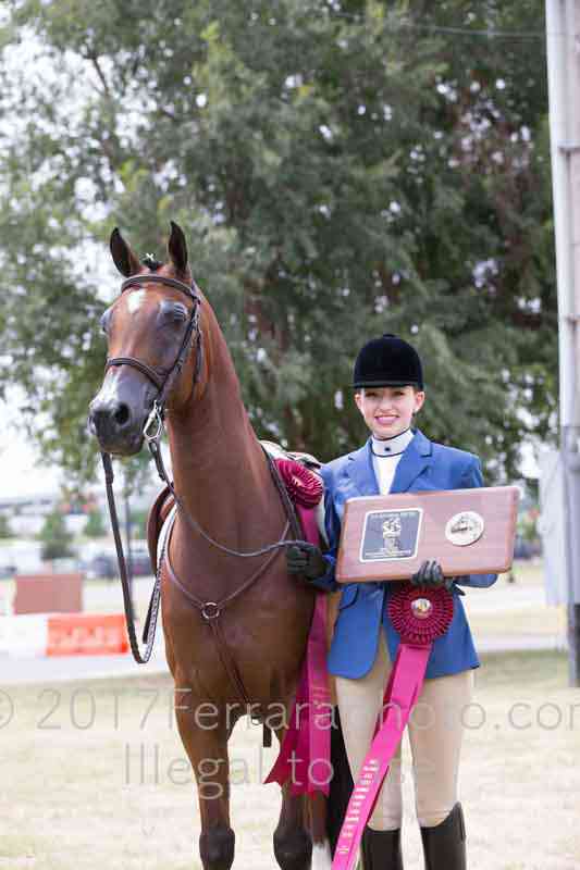 Proof Number 17YN_3374