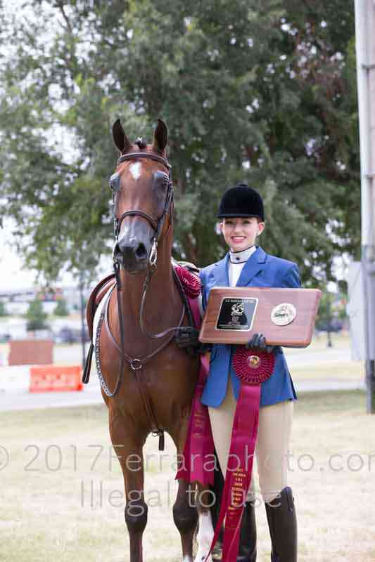 Proof Number 17YN_3377