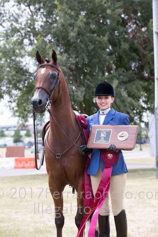 Proof Number 17YN_3380