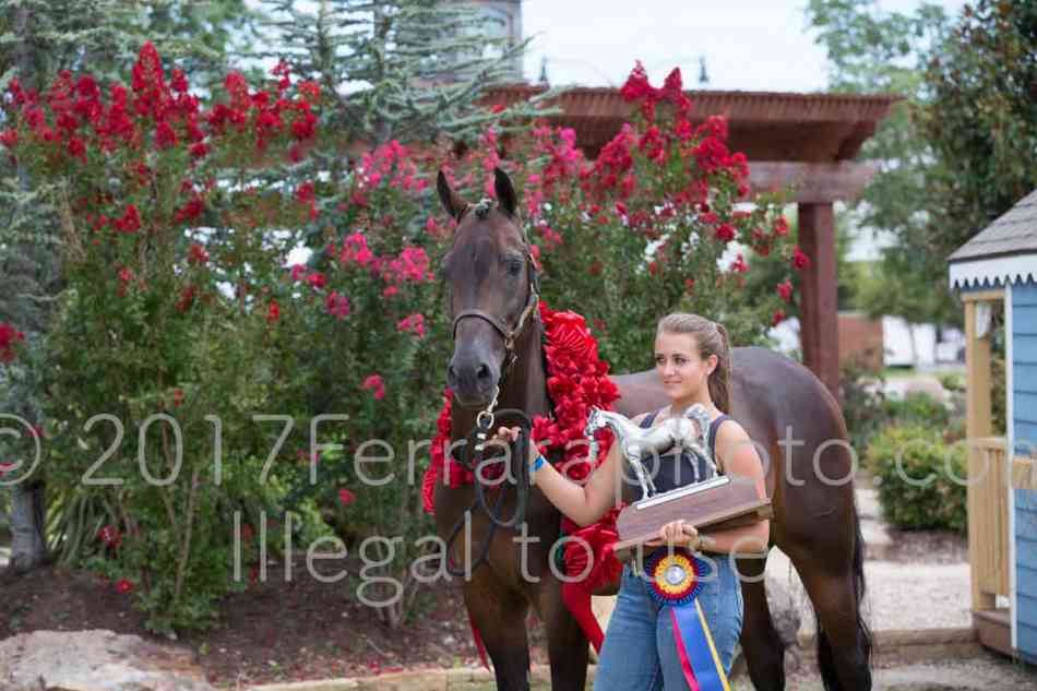 Proof Number 17YN_3409