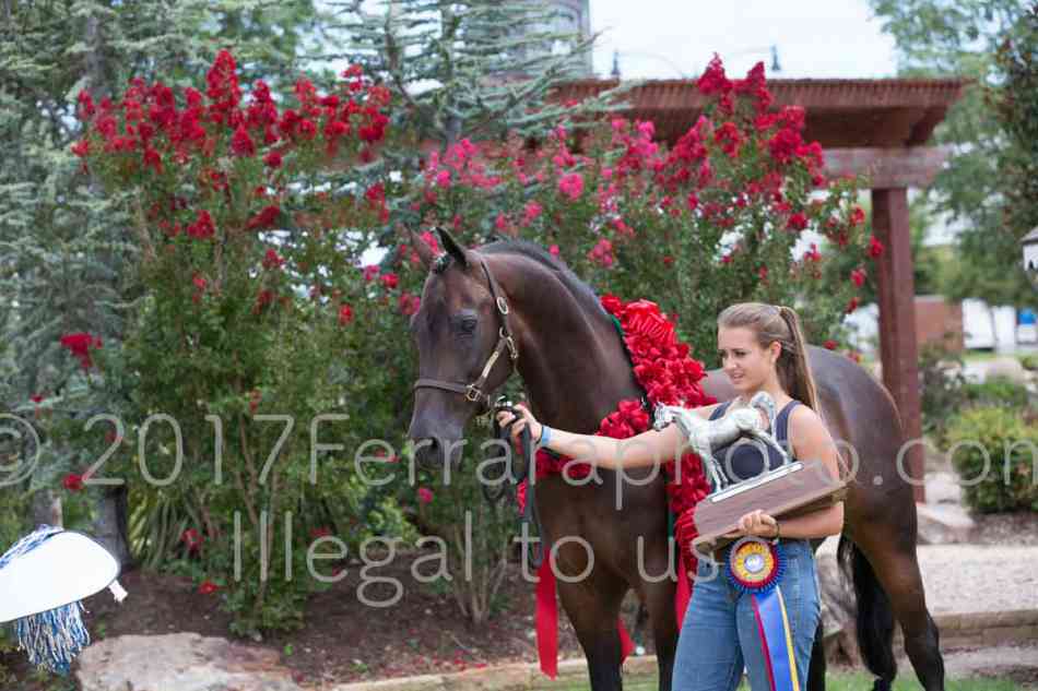 Proof Number 17YN_3414