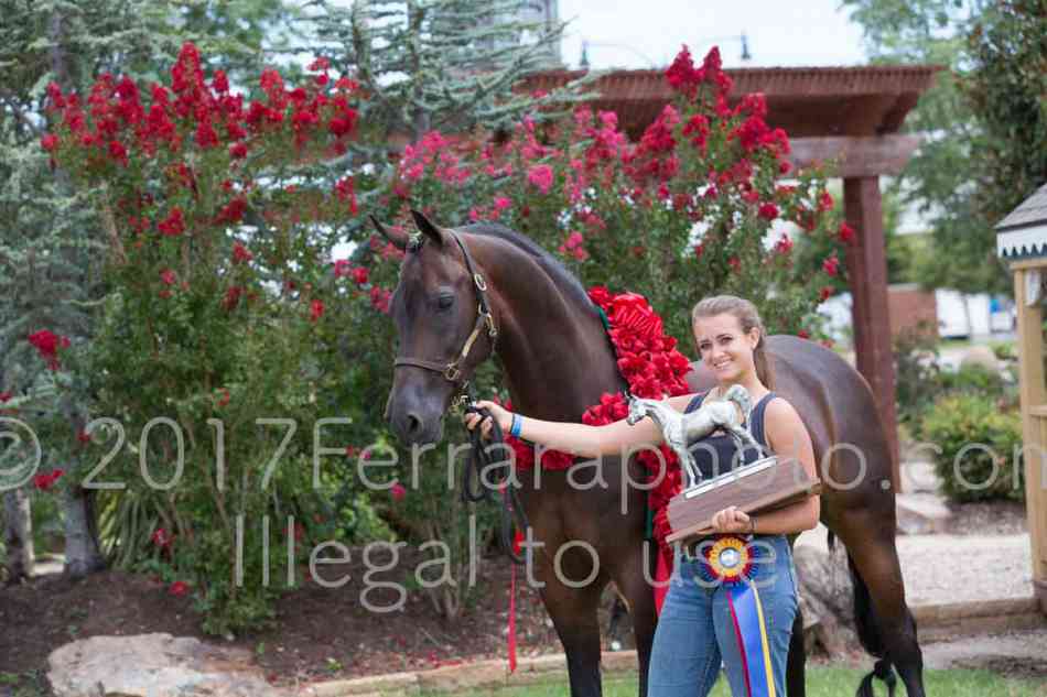 Proof Number 17YN_3417