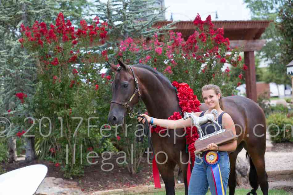 Proof Number 17YN_3420