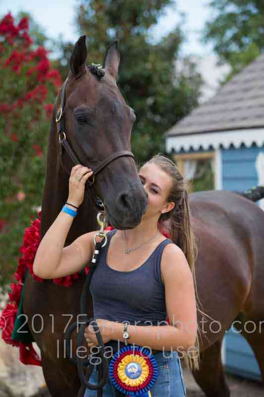 Proof Number 17YN_3433