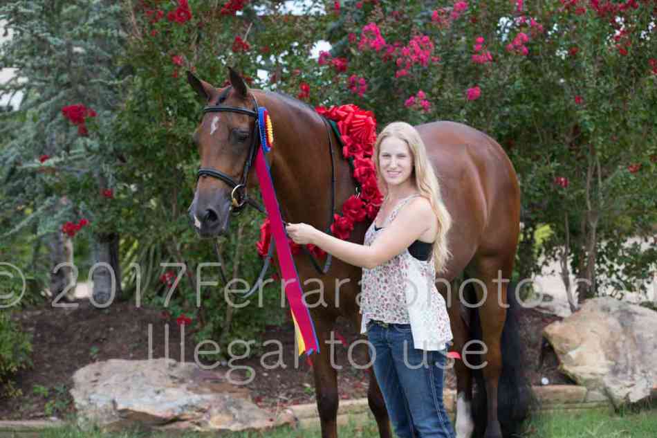 Proof Number 17YN_3453