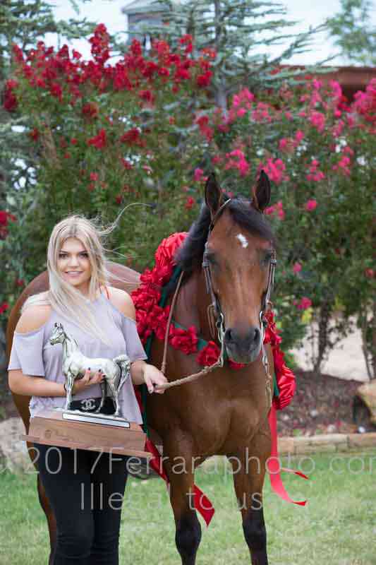 Proof Number 17YN_3468