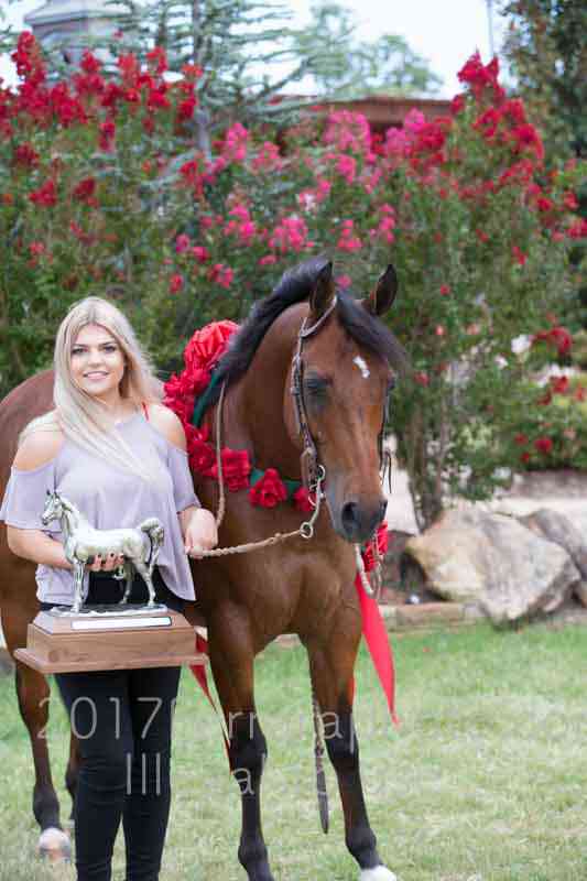 Proof Number 17YN_3470