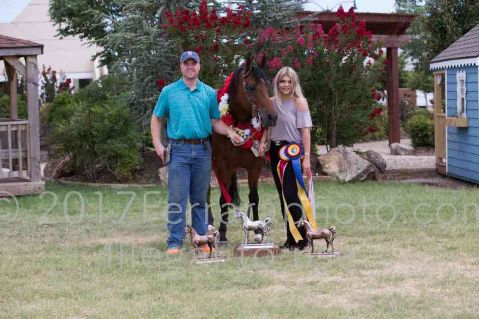 Proof Number 17YN_3490