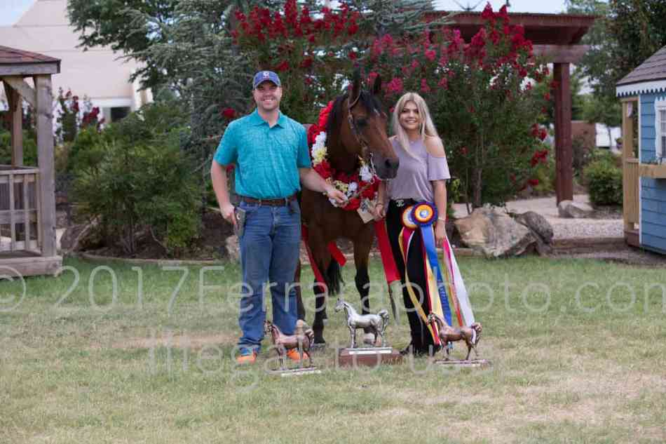 Proof Number 17YN_3491