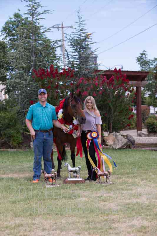 Proof Number 17YN_3495