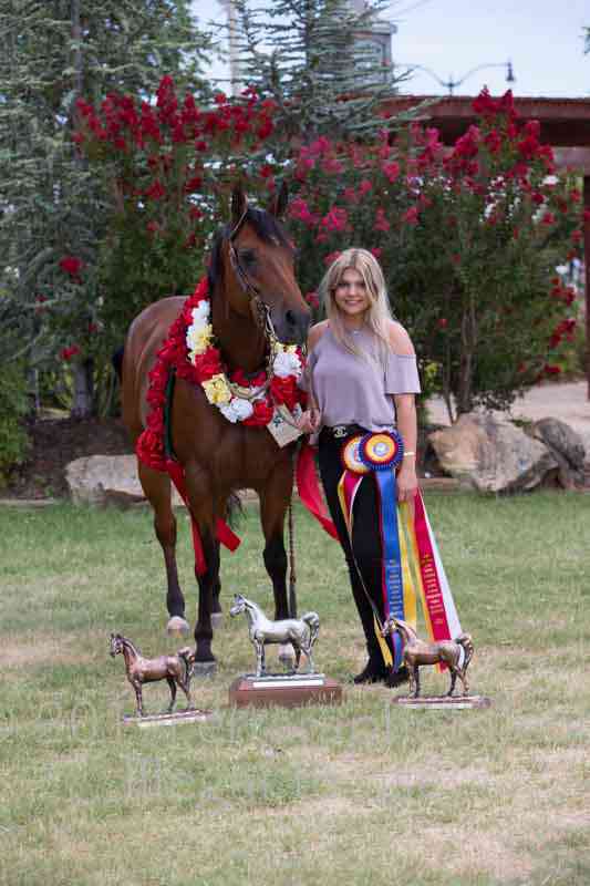 Proof Number 17YN_3506