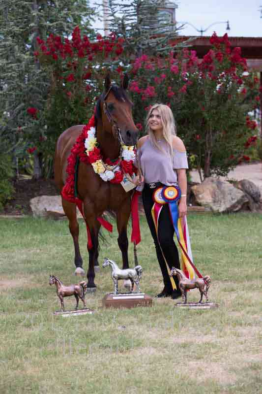 Proof Number 17YN_3508