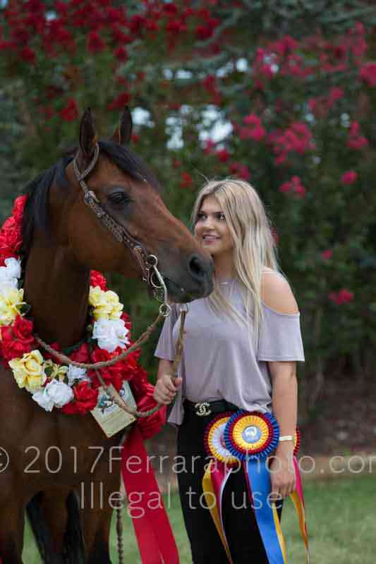 Proof Number 17YN_3514