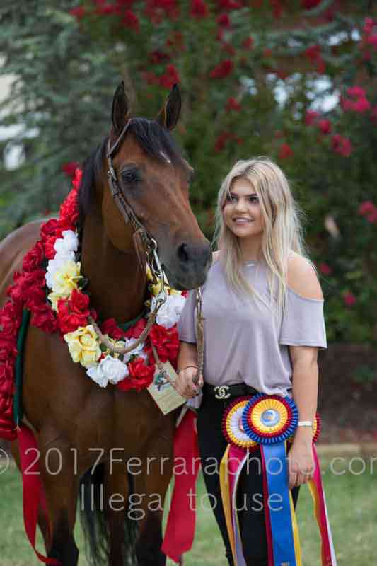 Proof Number 17YN_3521