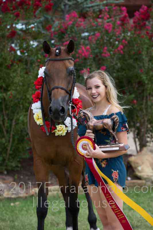 Proof Number 17YN_3529