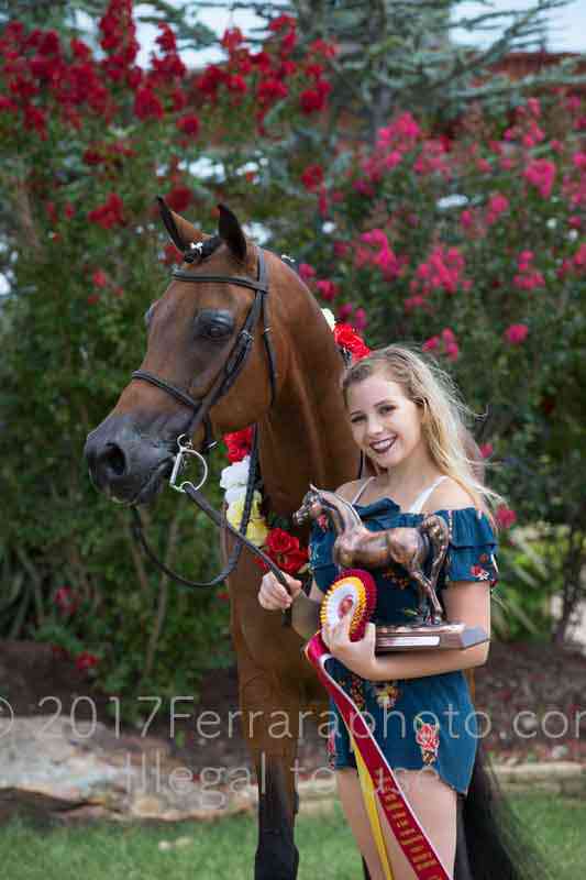 Proof Number 17YN_3534