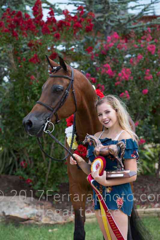 Proof Number 17YN_3535