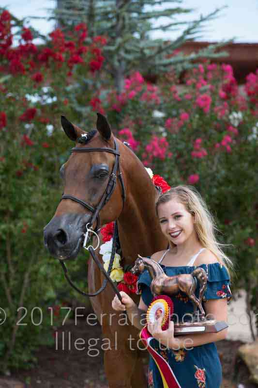 Proof Number 17YN_3536