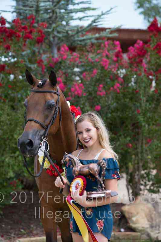 Proof Number 17YN_3539