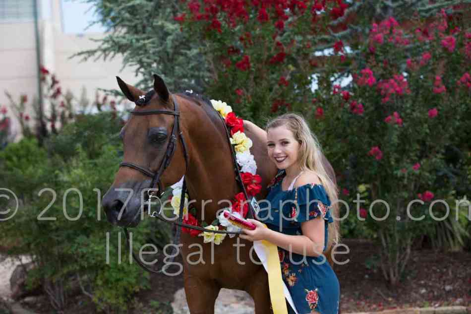 Proof Number 17YN_3543