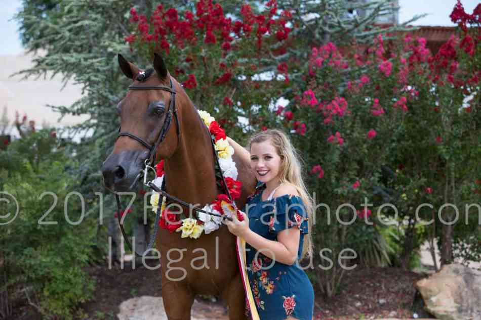 Proof Number 17YN_3550