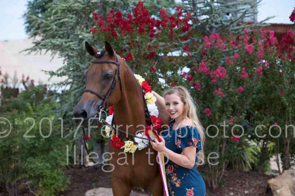 Proof Number 17YN_3554