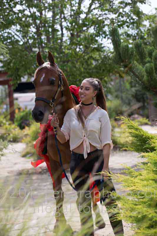 Proof Number 17YN_3585