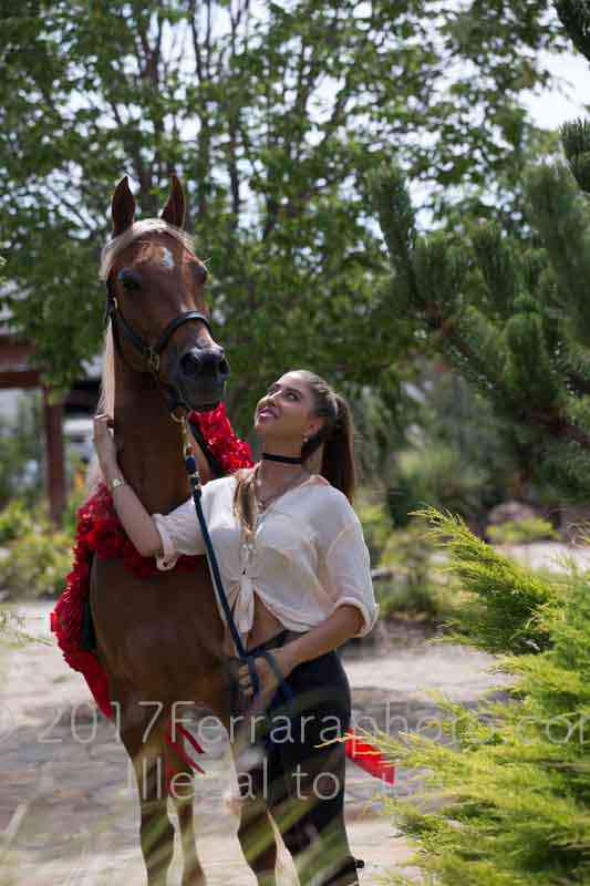 Proof Number 17YN_3590