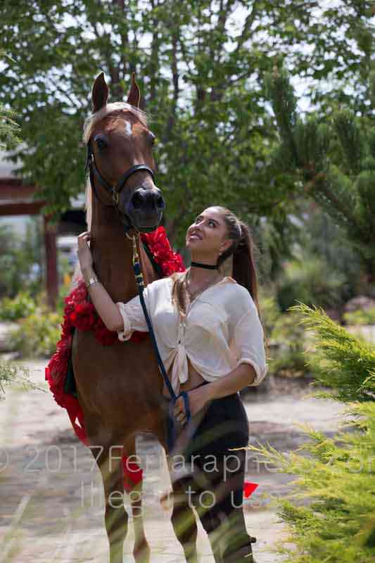 Proof Number 17YN_3591