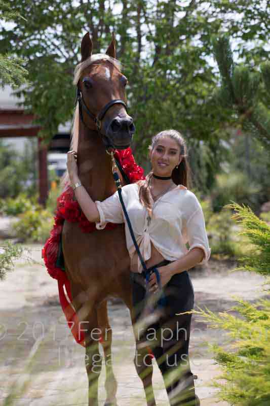 Proof Number 17YN_3593