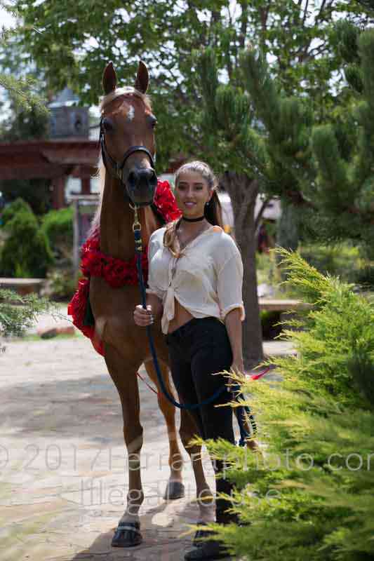 Proof Number 17YN_3599