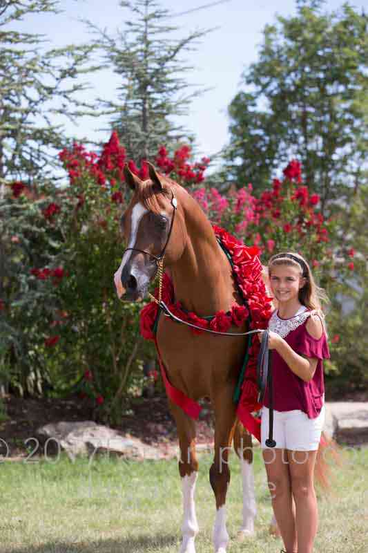 Proof Number 17YN_3620