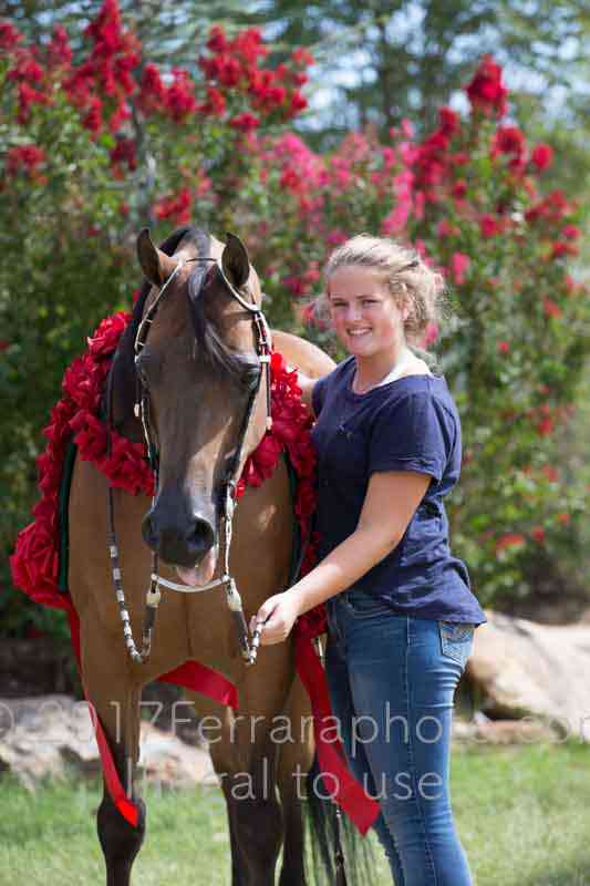 Proof Number 17YN_3634