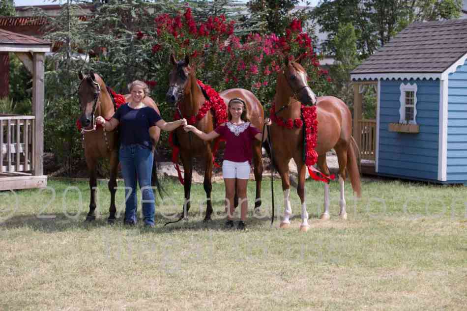 Proof Number 17YN_3660