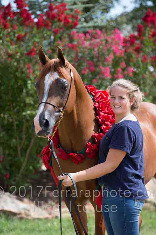 Proof Number 17YN_3661