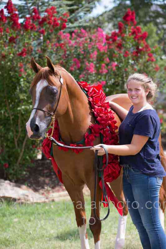 Proof Number 17YN_3667