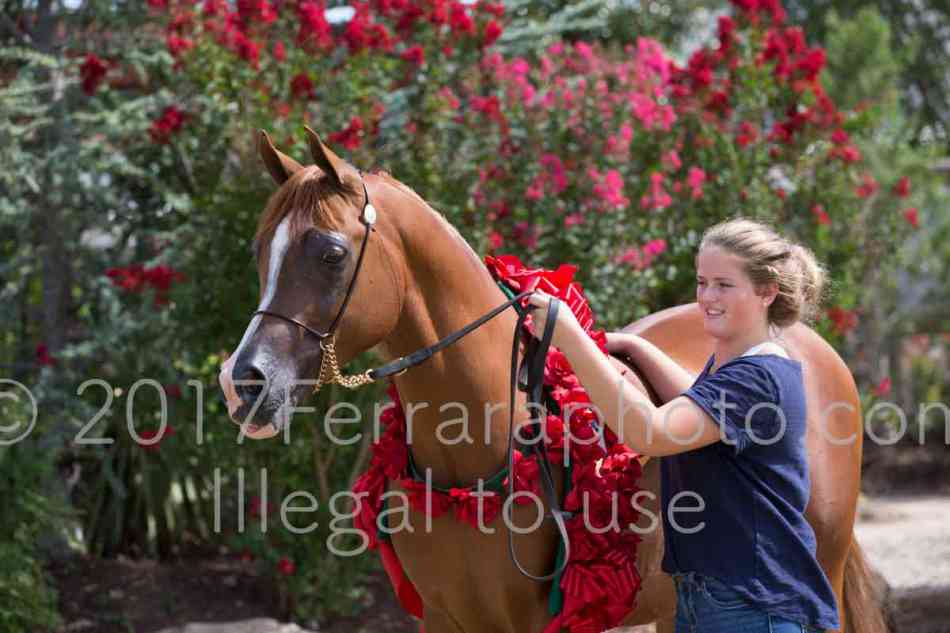 Proof Number 17YN_3669