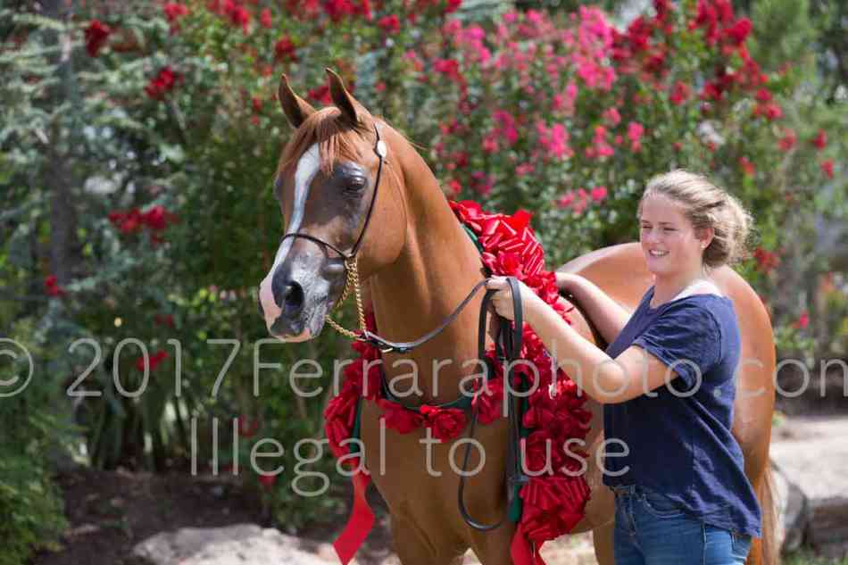 Proof Number 17YN_3670