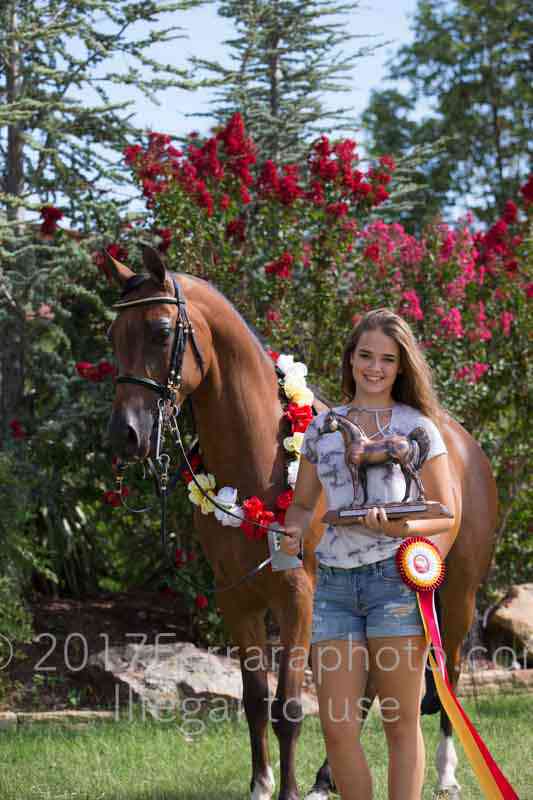 Proof Number 17YN_3678