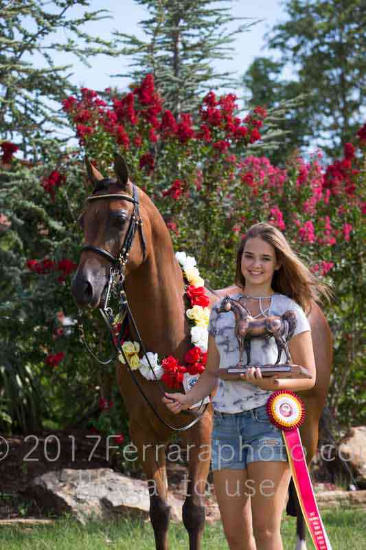 Proof Number 17YN_3681