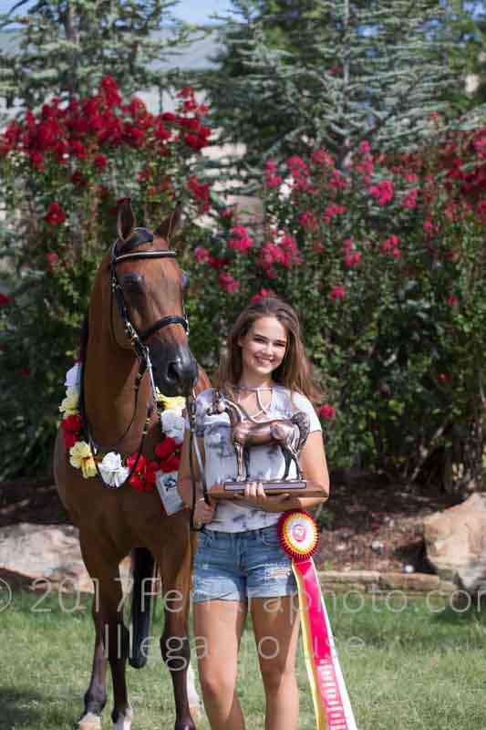 Proof Number 17YN_3694