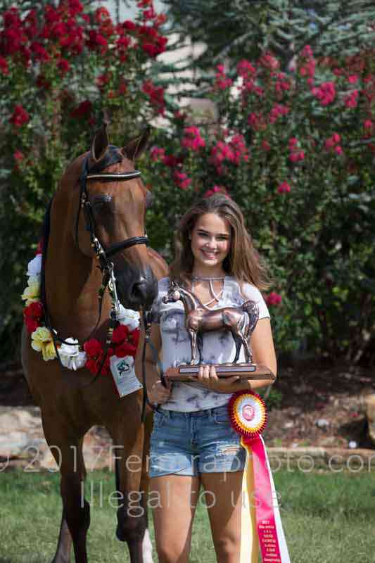 Proof Number 17YN_3697