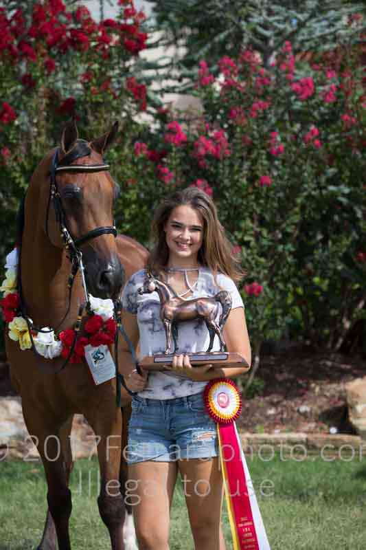 Proof Number 17YN_3699