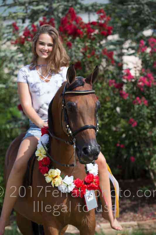 Proof Number 17YN_3700