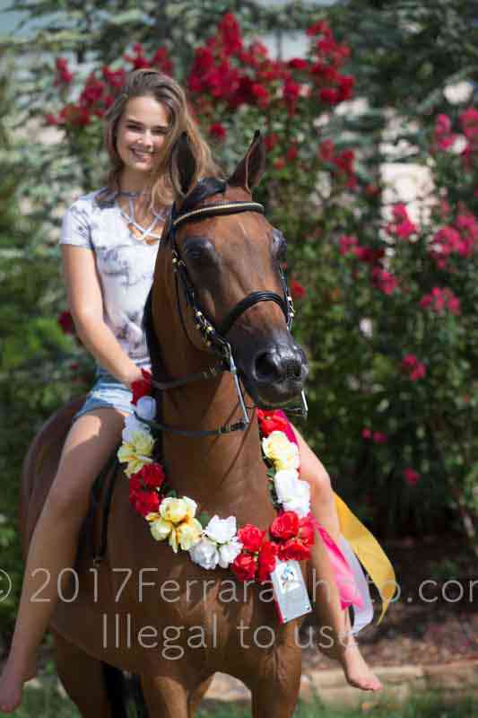 Proof Number 17YN_3701