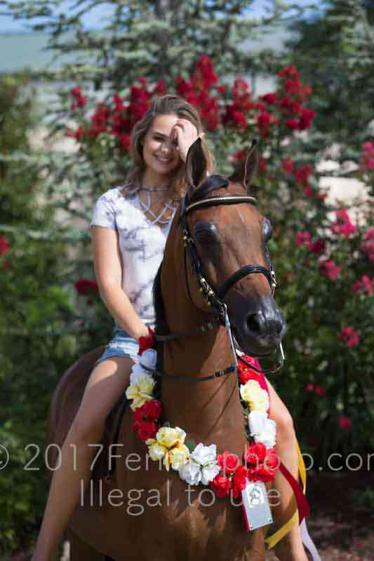 Proof Number 17YN_3703