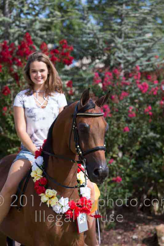 Proof Number 17YN_3709