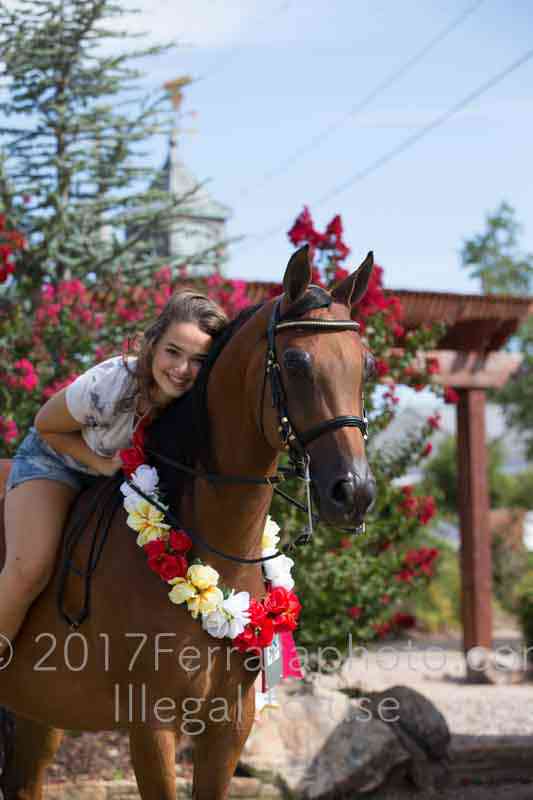 Proof Number 17YN_3713