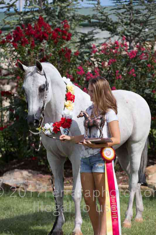 Proof Number 17YN_3726